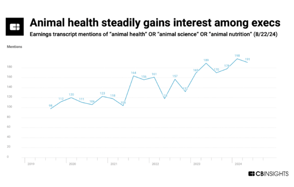Animal health is seeing new innovations — here’s what early-stage startup activity says about the future of the space